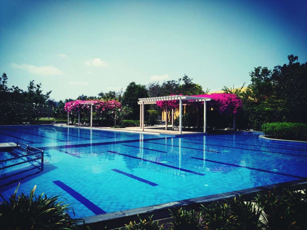 Schedule Tips for Better Pool Service Billing