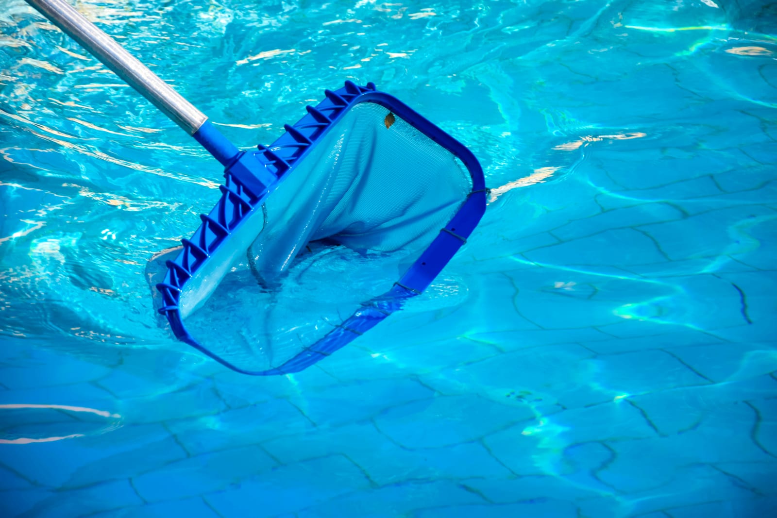 Cleaning a swimming pool with a skimmer net